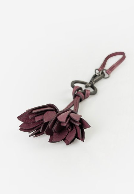 Crocus Charm